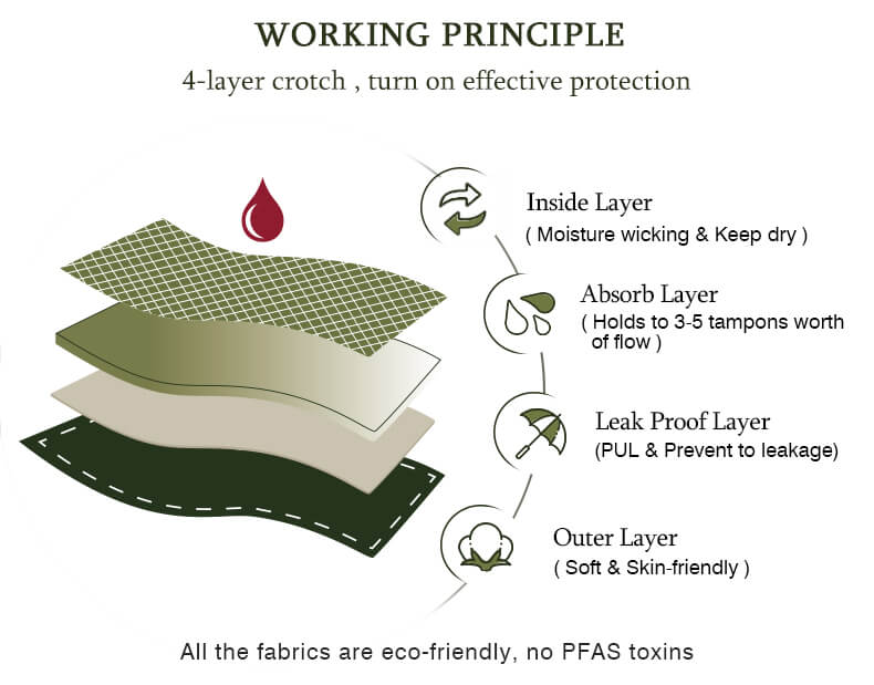 Mivorae High Waisted Period Underwear in Cotton For Medium Flows